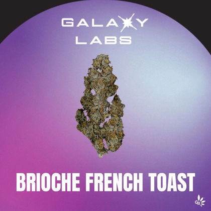  Flower - Brioche French Toast (7g)