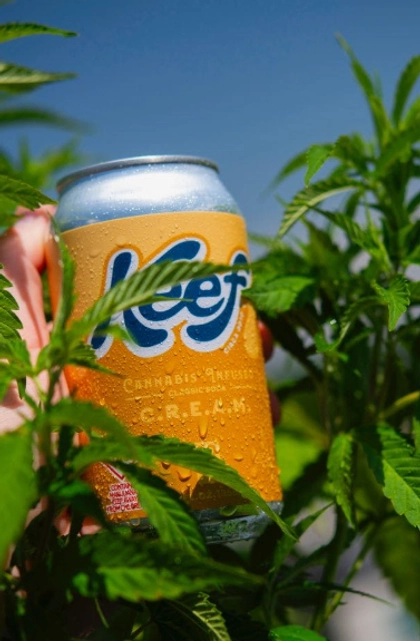 Soda - C.R.E.A.M. 12oz (25mg) Soda - C.R.E.A.M. 12oz (25mg)
