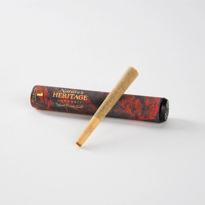  Infused Pre Roll - Governmint Oasis (1g)