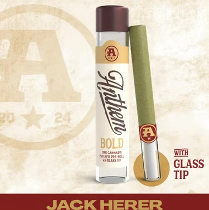  Infused Pre-Roll - Bold Jack Herer (1g)