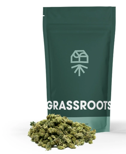  Popcorn - Nutcrackerz #8 (14g)
