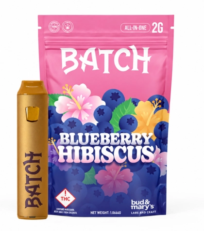  Disposable - Blueberry Hibiscus (2g)
