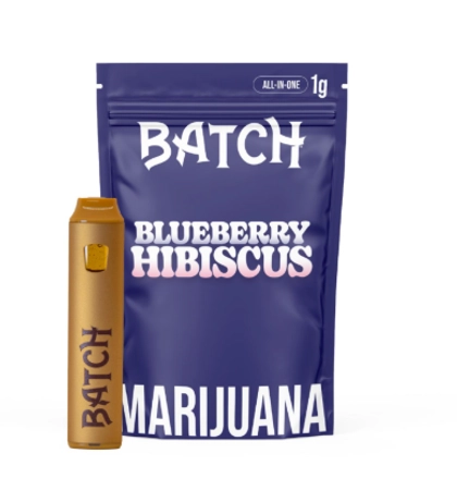  Disposable - Blueberry Hibiscus (1g)