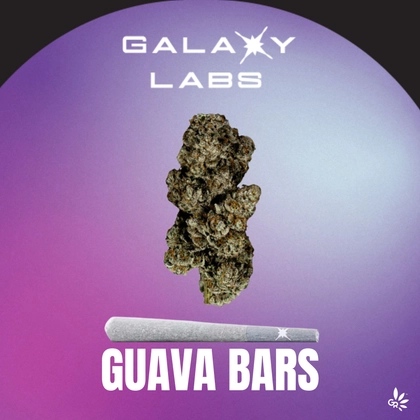  Pre Roll - Guava Bars (1g)