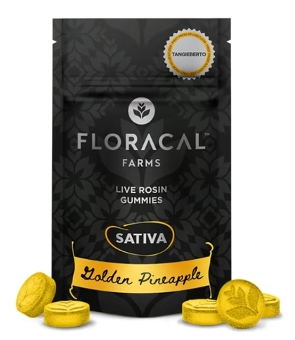  Gummies - Golden Pineapple 10pk (100mg)