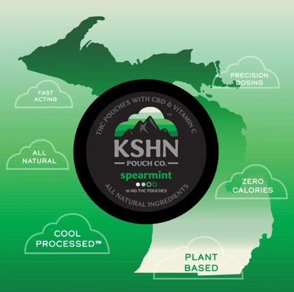  Edible - Spearmint Pouches 10ct (100mg)