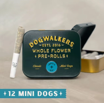  Pre Roll 12pk - Animal Scout (4.2g)