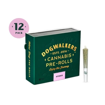  Pre Roll 12pk - Gas Guzzler (4.2g)