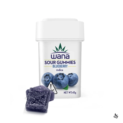  Gummies - Blueberry (100mg)