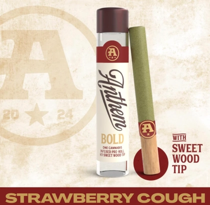  Infused Pre-Roll - Bold Strawberry Cough (1g)