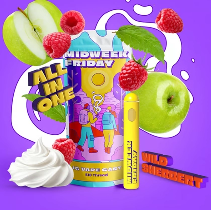  Disposable Vape - Wild Sherbet (1g)