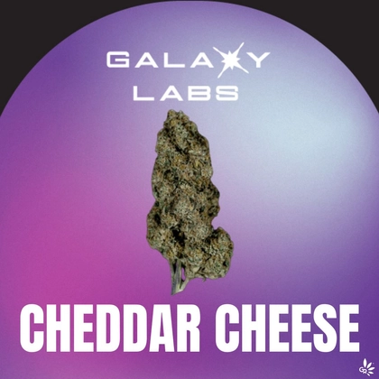  Flower - Cheddar Cheeze (3.5g)