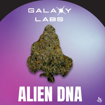 Flower - Bananaconda 4 (3.5g) Flower - Bananaconda 4 (3.5g)