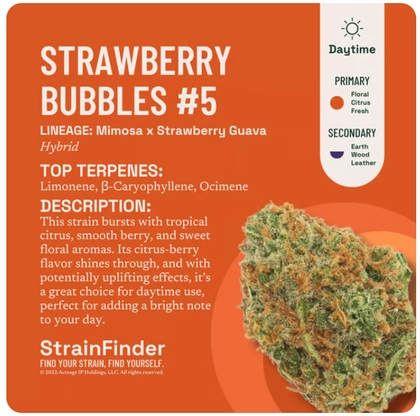  Flower - Strawberry Bubbles #5 (14g)