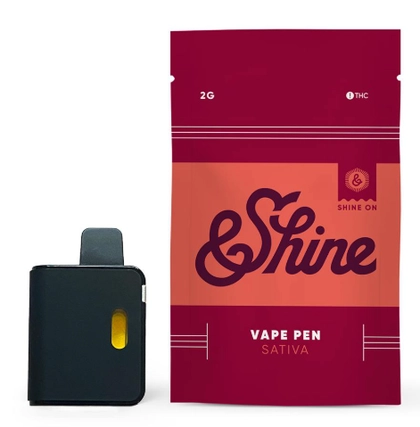  Disposable Vape - XJ-13 (2g)