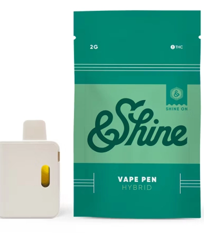  Disposable Vape - Mango (2g)
