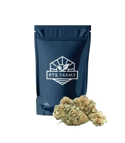  Flower - Apple Fritter (3.5g)
