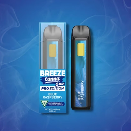  Disposable Vape - Blue Raspberry (2g)