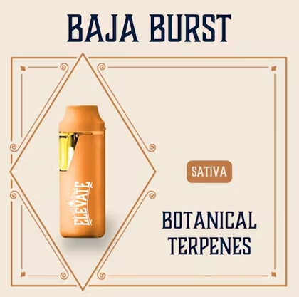 Baja Burst Min-E-Bar - 1g