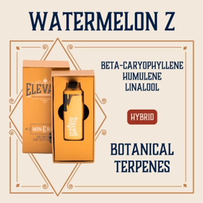  Watermelon Z - 1g
