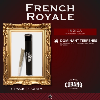 French Royale - 1g