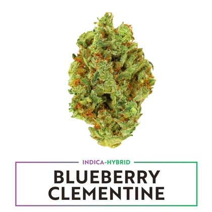  Blueberry Clementine - 3.5g