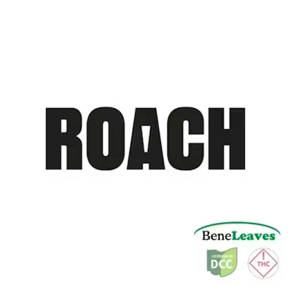 roach disposable vape how to use Rips Zero Nicotine Disposable | 2800 Puffs