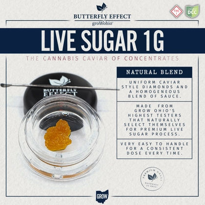  Black Jack (1g) | Live Sugar