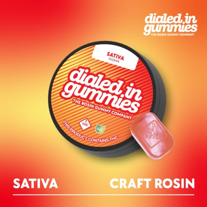  Guava DS  (100mg) | Rosin Gummies