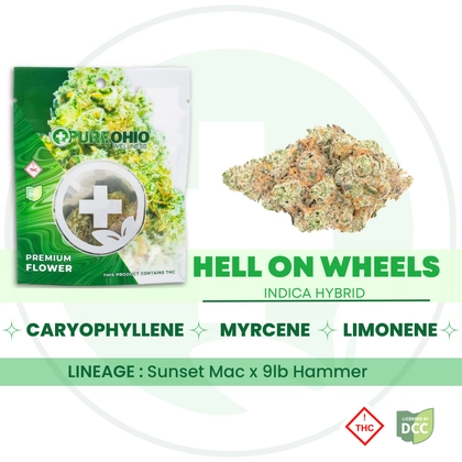  Hell on Wheels (3.5g) | Flower