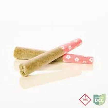 Private Party 2pk (.5g) | Pre-Roll