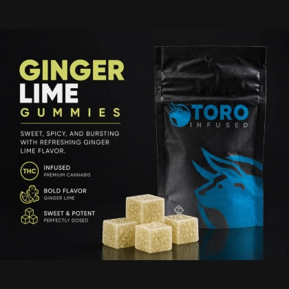  Ginger Lime Gummies 11pk - 100mg