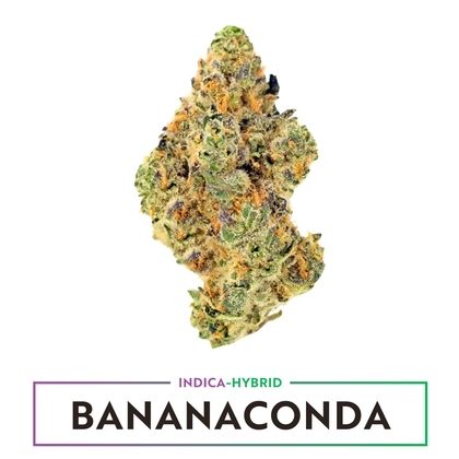  Bananaconda - 3.5g