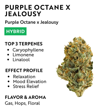 PURPLE OCTANE X JEALOUSY - 3.5g