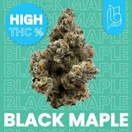 Black Maple - 3.5g Black Maple - 3.5g