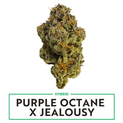 Buy Purple Octane x Jealousy - 3.5g in Lees Summit, MO - Green Releaf