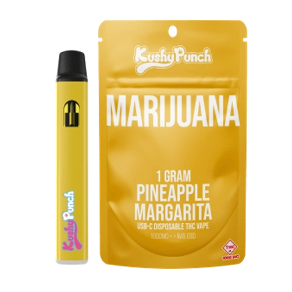 Pineapple Margarita | Disposable