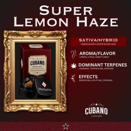 Super Lemon Haze Badder - 1g Super Lemon Haze Badder - 1g