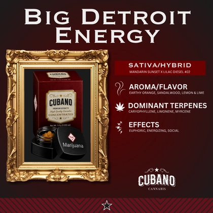 Big Detroit Energy | Live Resin
