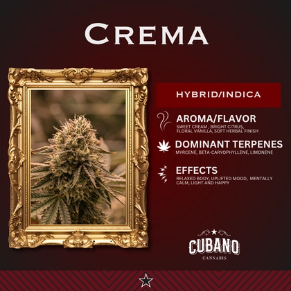  Crema - 3.5g