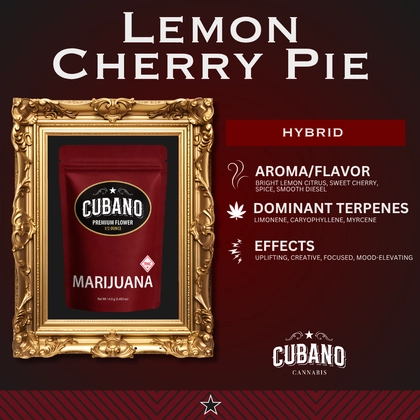  Lemon Cherry Pie Popcorn - 14g