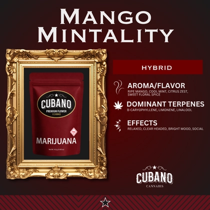 Mango Mintality Popcorn - 14g Mango Mintality Popcorn - 14g
