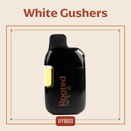  White Gushers - 2g