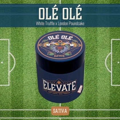 Olé Olé Olé Olé