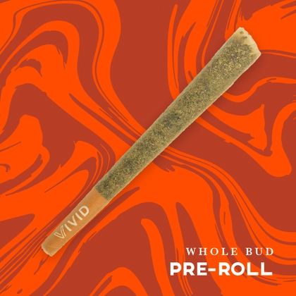 Florida Mintz | PreRoll Florida Mintz | PreRoll