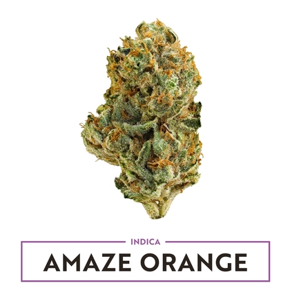  Amaze Orange Budlets - 7g