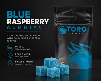  Blue Razz Gummies 11pk - 100mg
