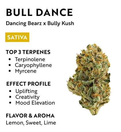  Bull Dance - 3.5g