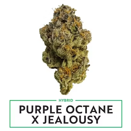  PURPLE OCTANE X JEALOUSY - 3.5g