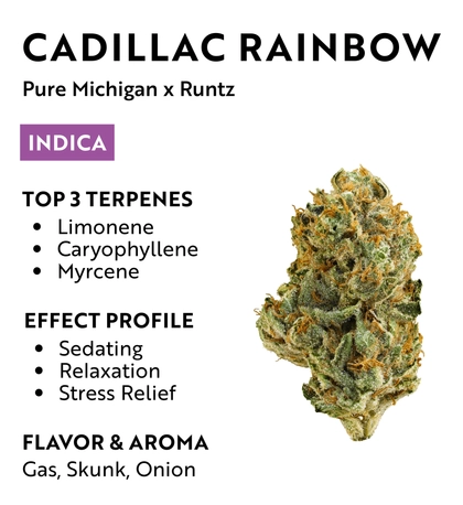  Cadillac Rainbow - 3.5g